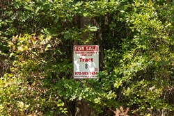 Olive Hill Tract 8
