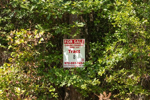 Olive Hill Tract 8