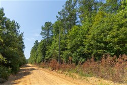 Olive Hill Tract 8