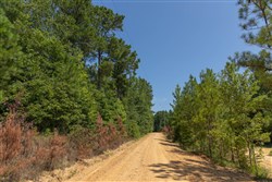 Olive Hill Tract 8