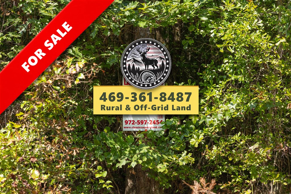 Olive Hill Tract 8 - Primary