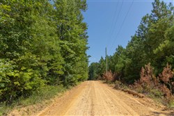 Olive Hill Tract 9