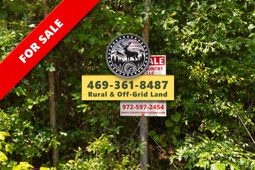Olive Hill Tract 9 - Primary