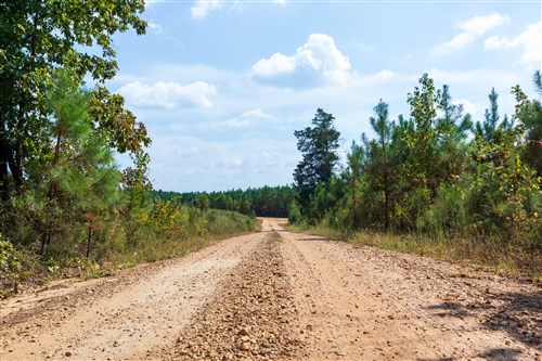 Willow Grove Tract 1