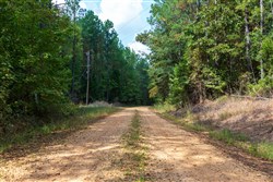 Willow Grove Tract 1