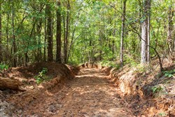 Willow Grove Tract 12