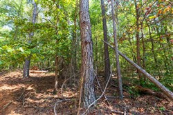 property photo for Willow Grove Tract 13, 5.29 acres for sale in Lamar County, Alabama