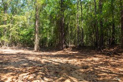 Willow Grove Tract 14