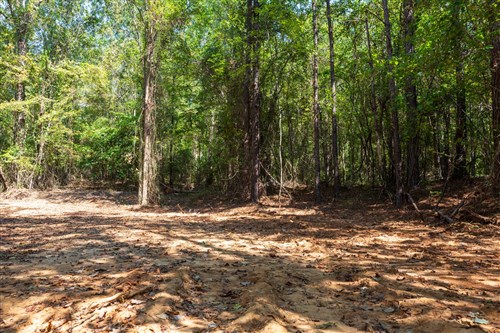 Willow Grove Tract 14