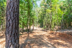 Willow Grove Tract 15