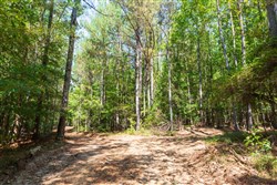 Willow Grove Tract 15