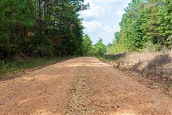 property photo for Willow Grove Tract 2, 5.39 acres for sale in Lamar County, Alabama