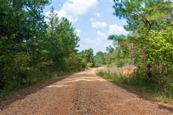 property photo for Willow Grove Tract 3, 6.31 acres for sale in Lamar County, Alabama