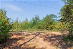 Willow Grove Tract 5