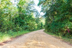 Willow Grove Tract 6