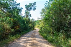 Willow Grove Tract 6