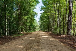 Willow Grove Tract 7