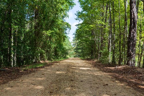 Willow Grove Tract 7