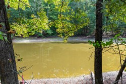 Willow Grove Tract 7