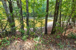 Willow Grove Tract 7