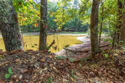 Willow Grove Tract 7