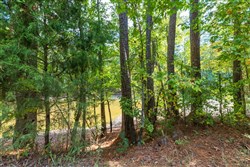 Willow Grove Tract 7