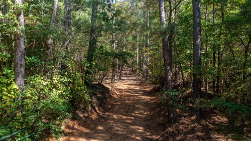 Willow Grove Tract 8