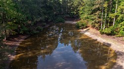 Willow Grove Tract 8