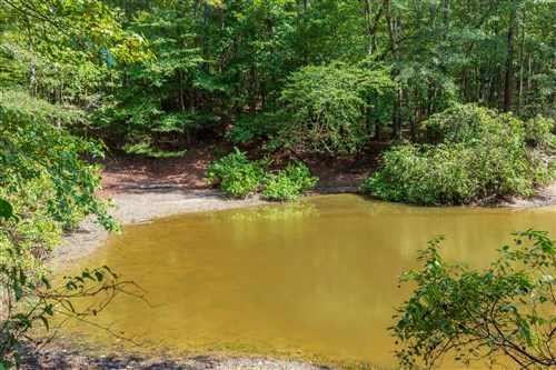 Willow Grove Tract 8
