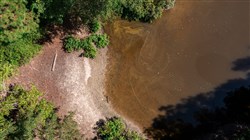 Willow Grove Tract 8