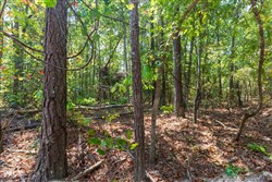 Willow Grove Tract 8