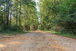 property photo for Willow Grove Tract 9, 5.12 acres for sale in Lamar County, Alabama