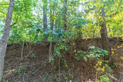 property photo for Willow Grove Tract 9, 5.12 acres for sale in Lamar County, Alabama