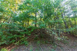 property photo for Willow Grove Tract 9, 5.12 acres for sale in Lamar County, Alabama