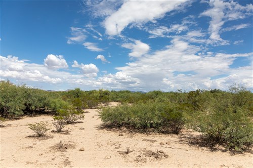 Horizons Edge Tract 6