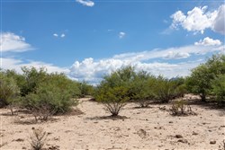 Horizons Edge Tract 6