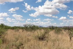 Horizons Edge Tract 8