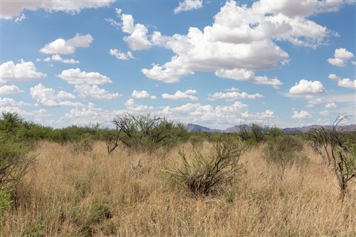 Horizons Edge Tract 8