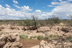 Horizons Edge Tract 8