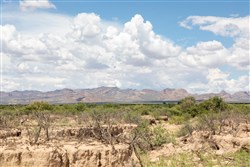 Horizons Edge Tract 8