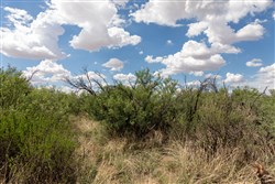 Horizons Edge Tract 8