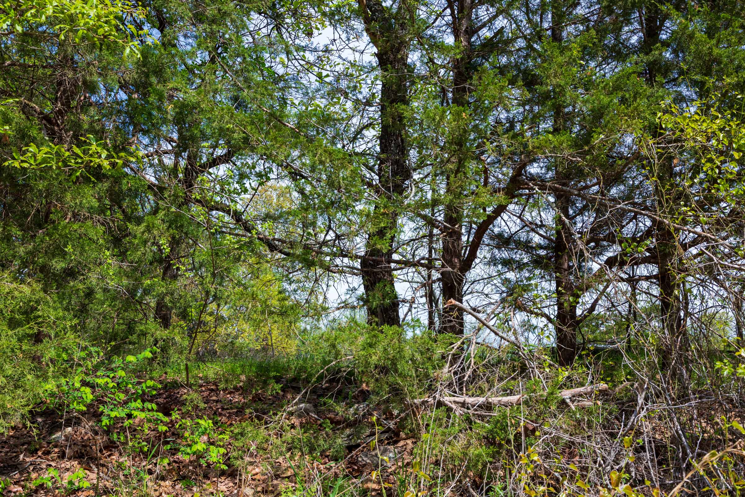 Tract 1 at Autumnwood in Fulton County, Arkansas