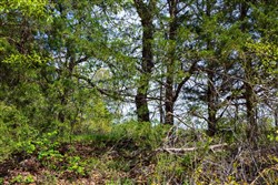 property photo for Autumnwood Tract 1, 7.46 acres for sale in Fulton County, Arkansas