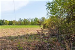property photo for Autumnwood Tract 1, 7.46 acres for sale in Fulton County, Arkansas