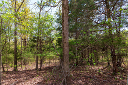 property photo for Autumnwood Tract 12, 5.96 acres for sale in Fulton County, Arkansas