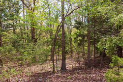 property photo for Autumnwood Tract 12, 5.96 acres for sale in Fulton County, Arkansas
