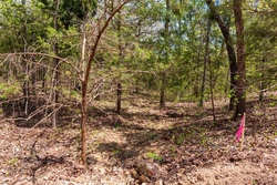 property photo for Autumnwood Tract 12, 5.96 acres for sale in Fulton County, Arkansas