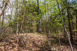 property photo for Autumnwood Tract 12, 5.96 acres for sale in Fulton County, Arkansas