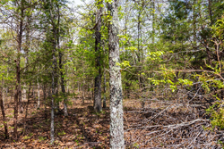 property photo for Autumnwood Tract 12, 5.96 acres for sale in Fulton County, Arkansas