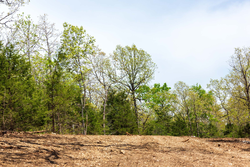 property photo for Autumnwood Tract 12, 5.96 acres for sale in Fulton County, Arkansas